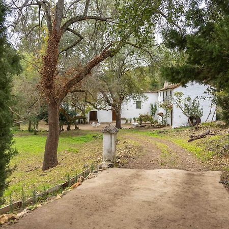 Molino De Gris Cazorla Villa Chilluevar Екстериор снимка