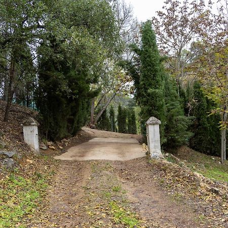 Molino De Gris Cazorla Villa Chilluevar Екстериор снимка