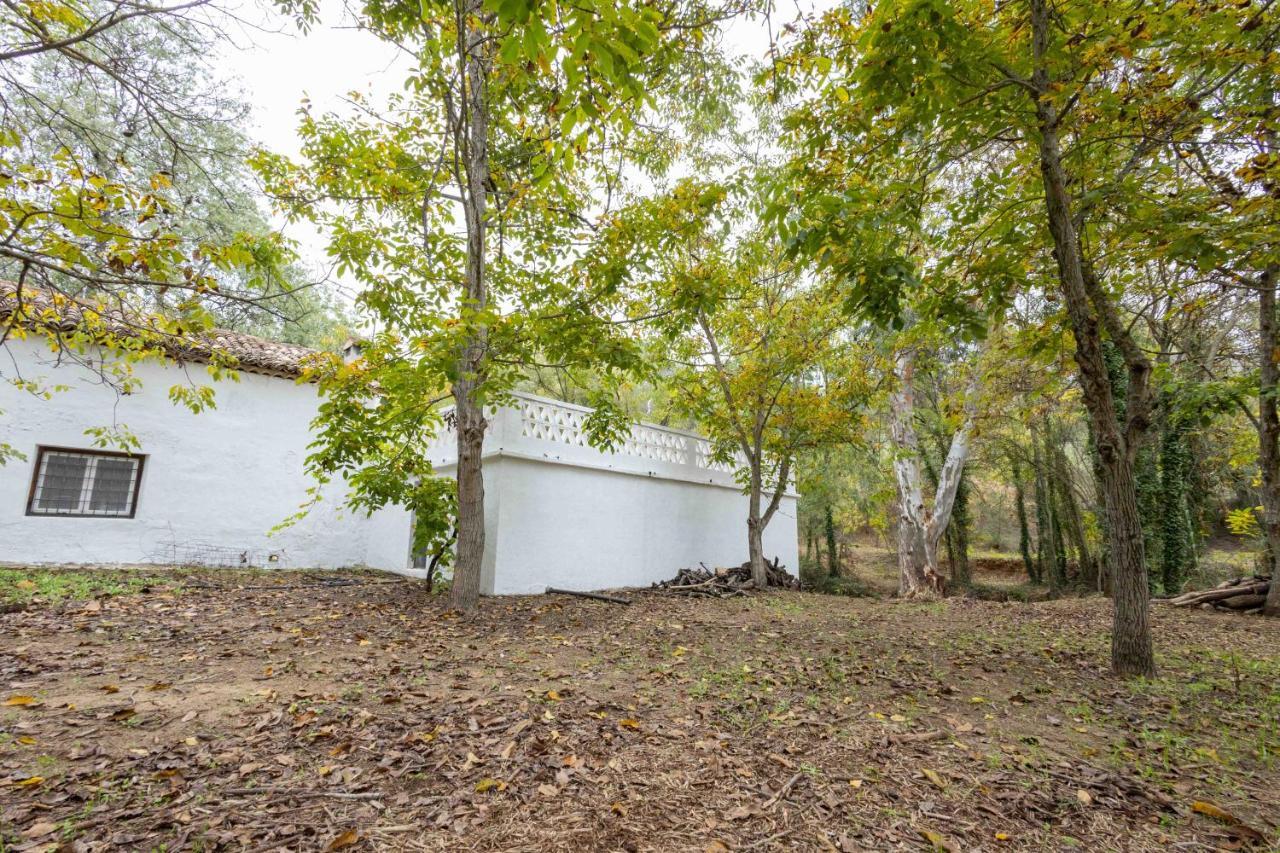Molino De Gris Cazorla Villa Chilluevar Екстериор снимка
