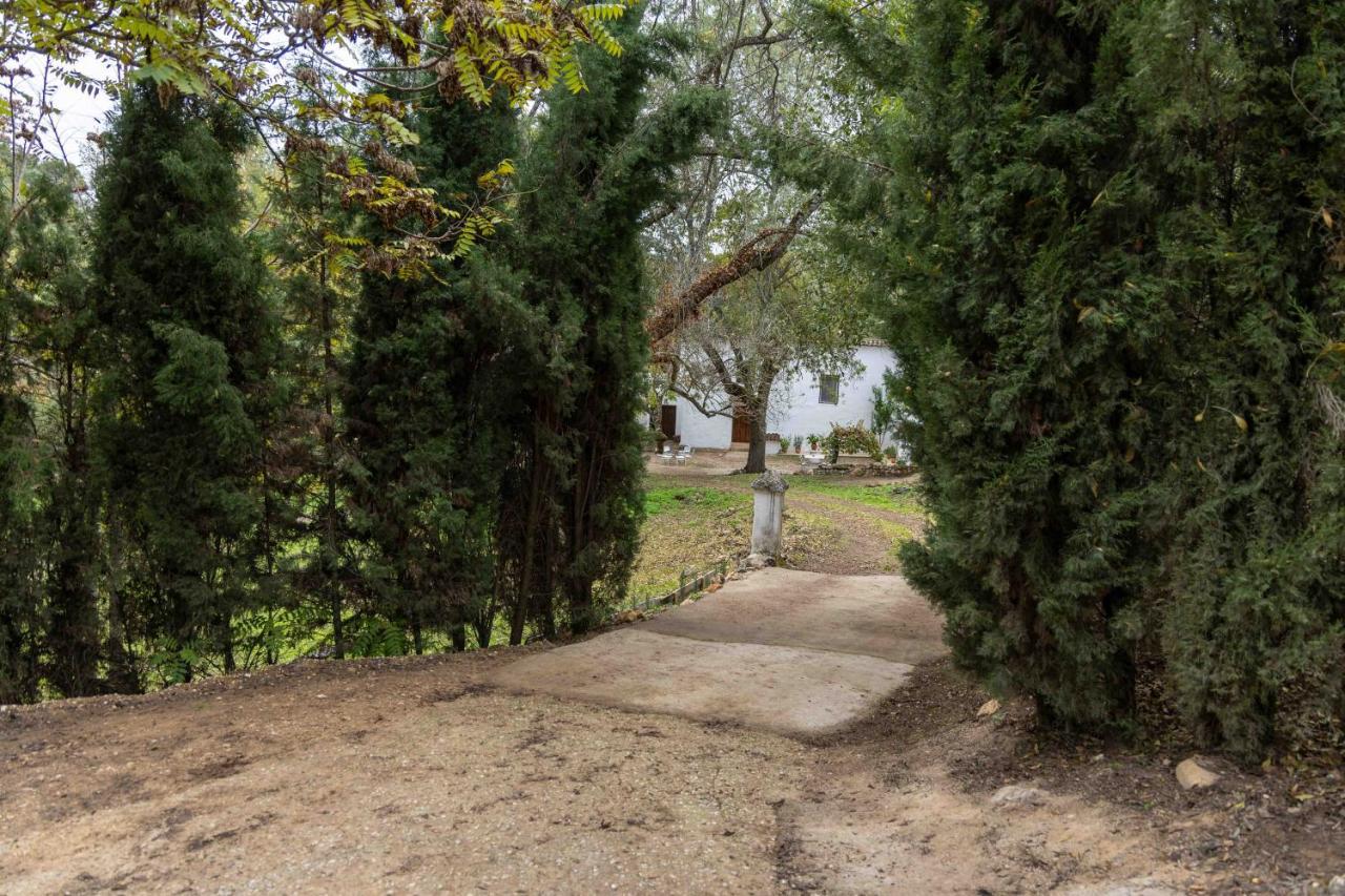 Molino De Gris Cazorla Villa Chilluevar Екстериор снимка