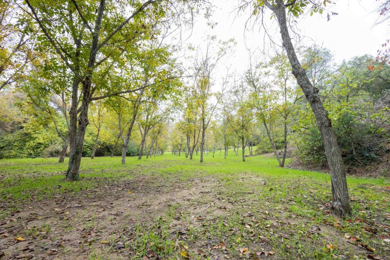 Molino De Gris Cazorla Villa Chilluevar Екстериор снимка
